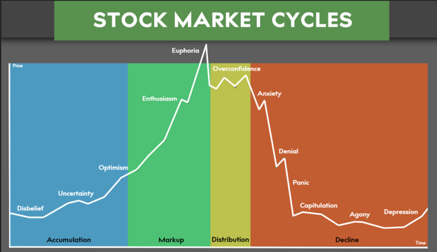 Stock Market Cycles chart showing emotional stages from Accumulation through Markup, Distribution, and Decline